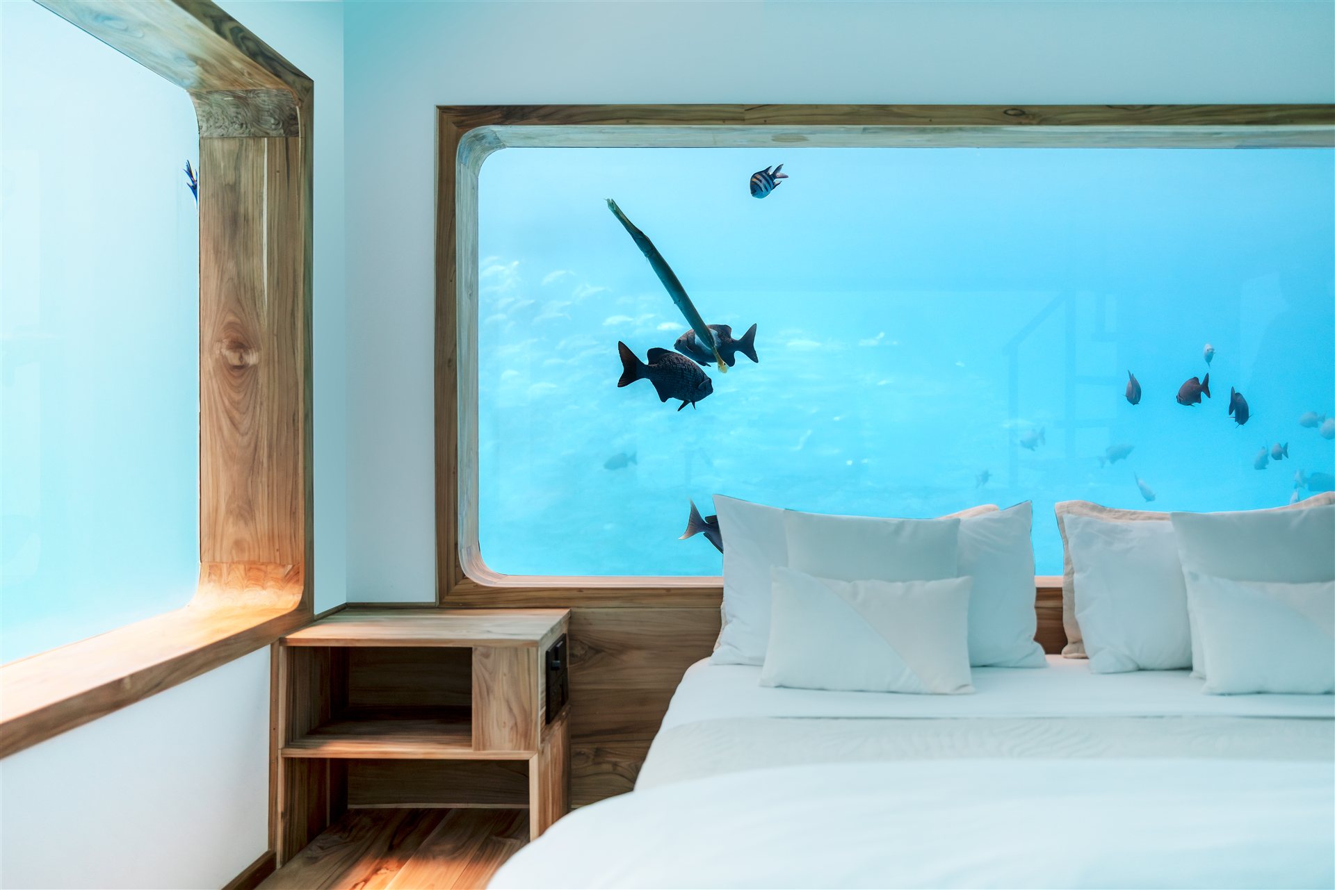The Underwater Room, Manta Resort